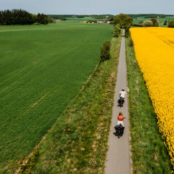 Guidet elcykeltur ved smukke skovsøer og veteran tog med Holmely